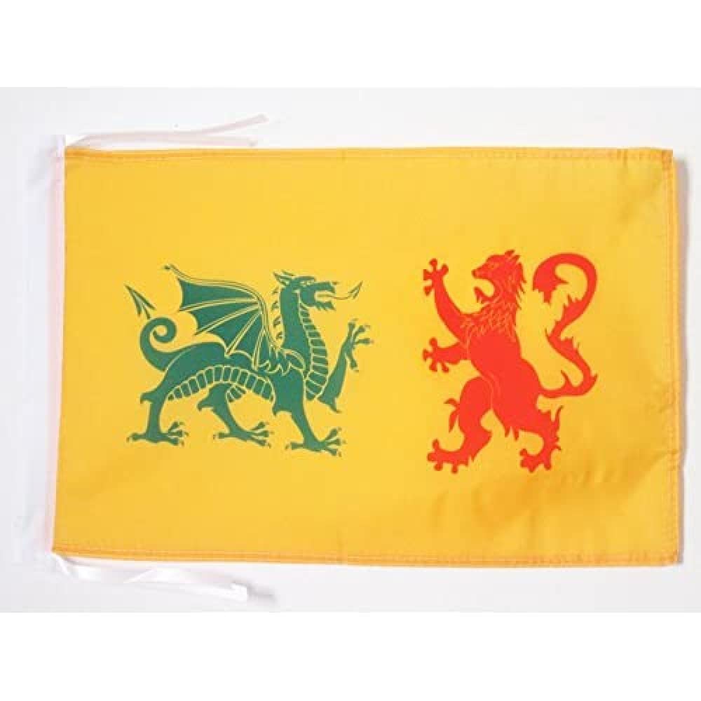 AZ FLAG - Kingdom of Galicia 410-585 Flag - 18'' x 12'' - 100% Polyester Dinastía real sueva Reino de Gallaecia Small Banner with Two Cords - Fade Resistant - Vivid Colors - 18x12 in - 45x30 Cm