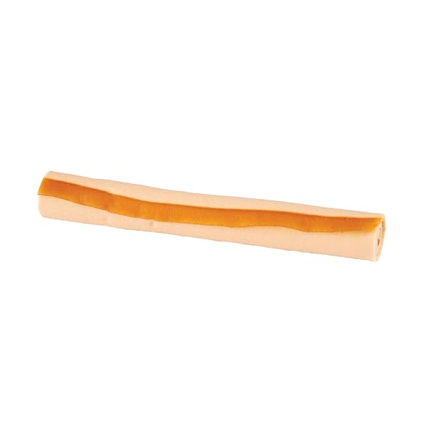 SMARTBONES SKIN AND COAT CARE STICKS 16 COUNT, RAWHIDE-FREE CHEWS FOR DOGS, WITH OMEGA FATTY ACIDS