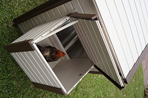 New Age Pet Ecoflex Fremont Chicken Coop With Pen Tan Import