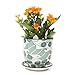 Chive - Liberte, Succulent and Cactus Planter Pot with Drainage Hole and Saucer, Small Porcelain Pot - Bulk 3 Pack Tray and Dish