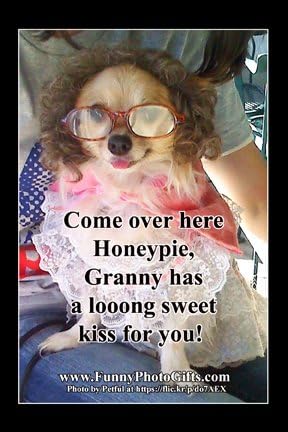 1 Small Fridge Magnet ~GRANNY DOG-~ approx 1.75x2.5 inches, funny humorous meme decorative refrigerator magnetic sign plaque pet dog in a granny costume kisses