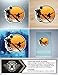 Owl Head Decal Sticker, Duck dive, Catching waves, for Surfboard sticker craftsmanship and