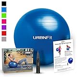 Exercise Ball (Multiple Sizes) for Fitness, Stability, Balance & Yoga - Workout Guide & Quick Pump Included - Anit Burst Professional Quality Design