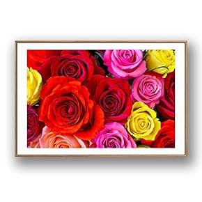 Framed Canvas Wall Art for Living Room, Bedroom Rose Flowers Canvas Prints for Modern Home Decoration Ready to Hang - 16"x24" inches