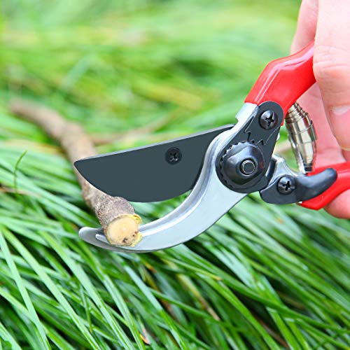 Terme 8" Small Professional Pruning Shears for Garden, Heavy Duty Tree Trimmers Sharp Bypass Hand Pruners with Stainless Steel Blades and Ergonomic Handle Fruit Trimming Tool - Thumbnail 4