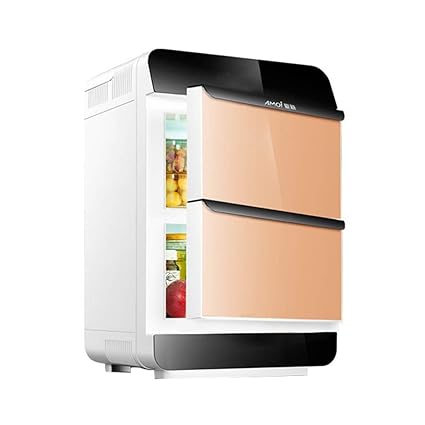 Kievy Nevera Termoeléctrica Portátil Eléctrico DC/AC Calor/Frío ...