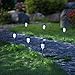 Twinkle Star 12 Pcs Solar Pathway Lights Stainless Steel Solar Garden Lights Solar Landscape Lights for Lawn, Patio, Yard, Walkway