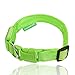 Illumiseen LED Dog Collar USB Rechargeable - Bright & High Visibility Lighted Glow Collar for Pet Night Walking - Weatherproof, in 6 Colors & 6 Sizes (Green X-Large)