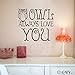 Owl Always Love You Vinyl Lettering Wall Decal Sticker (12.5