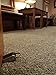DelTucci Door Stop - Door Stopper with Modern Door Hook- Stainless Steel Decorative Door Stops Works on All Surfaces -Will Outlast Any Rubber Door Wedge or Doorstop -Lifetime Replacement Guarantee!