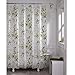 Maytex Zen Garden Waterproof PEVA Shower Curtain