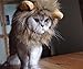 OaaXbbECco Lion Mane Wig for Cat Costume (Light Brown, Medium)