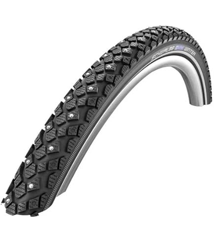 Amazon.com : Schwalbe Unisex's ICE SPIKER PRO Perf, DD, RaceGuard