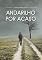Livro ANDARILHO POR ACASO
