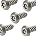 Fastenere Torx Security Sheet Metal Screws - #14 x 3/4