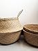Cocoboo - Natural Seagrass Belly Basket, handmade, Soft Lightweight, Foldable, Storage (16 x 14 inches) X-Large