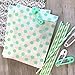 Outside the Box Papers Gold and Mint Green Treat Sacks - Chevron Polka Dot Favor Bags - 5.5 x 7.5 Inches - 48 Pack