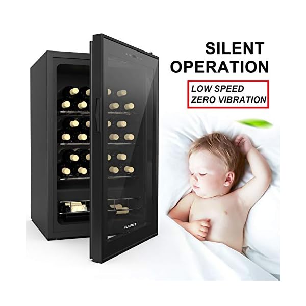 KUPPET-27-Bottles-Compressor-Freestanding-Wine-CoolerChiller-RedWhite-Wine-Beer-and-Champagne-Wine-Cellar-Digital-Temperature-Display-Double-layer-Glass-Door-Quiet-Operation