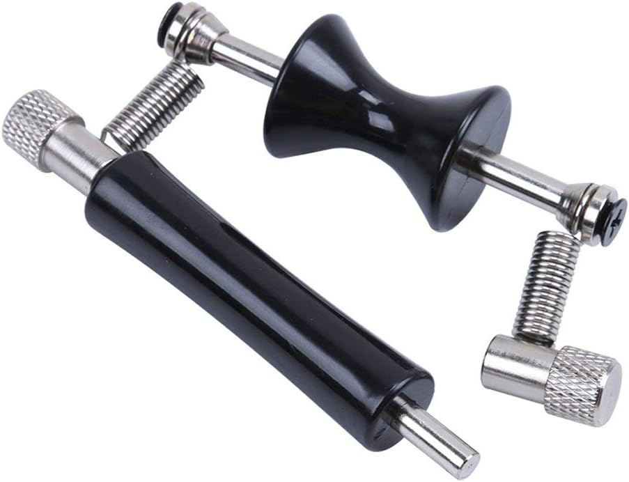 violini elettrici acustici