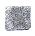 100% Woven Silk Platinum Paisley Pocket Square