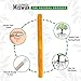 GOWO 3 Pack Miswak Sticks and Holders - Natural Teeth Whitening Kit - Natural Toothbrush - No Toothpaste Needed - Herbal Teeth Whitener and Breath Freshener - (Includes 3 Sticks and 3 Holders)