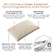 Cheer Collection Natural Latex Pillow Eco-Friendly Ventilated Foam Pillow with Washable Bamboo Cover