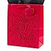 Hallmark Vida Medium Spanish Valentine's Day Gift Bag with Tissue Paper (Amor De Mi Vida)