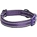 Blueberry Pet Essentials Safe & Comfy 3M Reflective Adjustable Dog Collar - Violet, Large, Neck 18