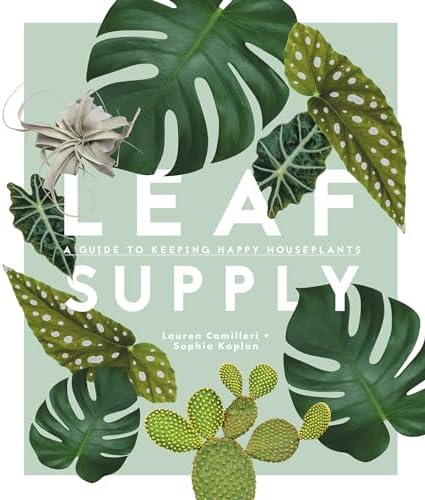 The Leaf Supply Guide to Creating Your Indoor Jungle: Camilleri