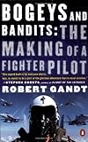 Bogeys and Bandits: The Making of a Fighter Pilot