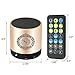 SQ200 Remote Control Speaker Portable Quran Speaker MP3 Player 8GB TF FM Quran Koran Translator USB Rechargeable Speaker-Glod