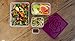 Bentology Raspberry Meal Holder Set - 4 Microwave Safe, Leak Proof Containers for Meal Prep, Snacks & Leftovers