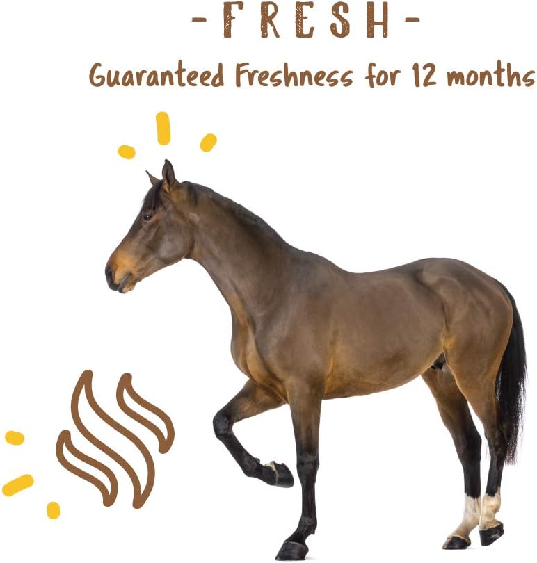 Manna Pro Simply Flax for Horses | Omega-3 Fatty Acids from Flaxseed | 8 Pounds : Horse Nutritional Supplements And Remedies : Pet Supplies