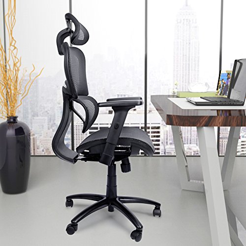 Mysuntown Ergonomic Mesh Office Chair with Back Support, Adjustable Headrest & Adjustable Armrest Lumber Support Desk Executive & Task Chair for Home Office Conference Room