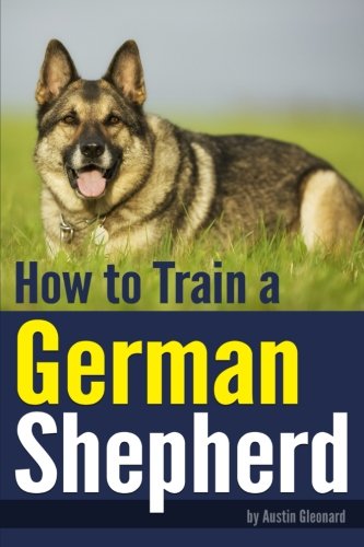 german shepherd essentials