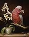 Artifact Puzzles - Kevin Sloan Naughty Bird Wooden Jigsaw Puzzle