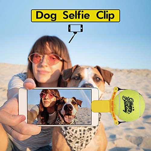 PIKASEN Deluxe Dog Gift Box with 4 Squeak Tennis Balls and 6 NonSqueak Dog Tennis Ball 1 Dog