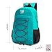 SOMISS 25L Water Resistant Lightweight Packable Foldable Folding Camping Daypack Camping Backpack (fruit green, 25L)