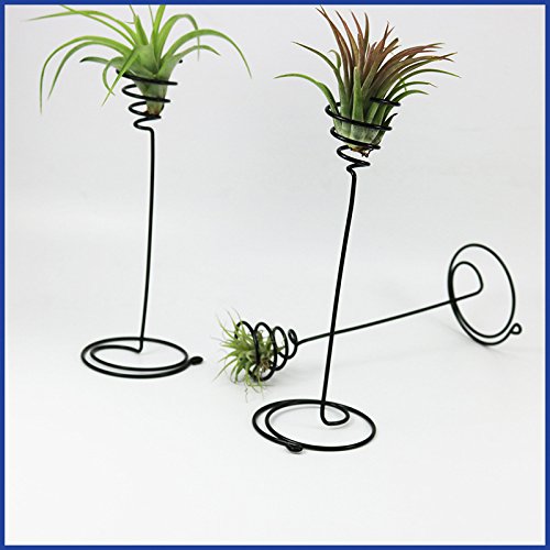 Soportes originales para tus plantas – Planta de Aire .com