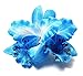 10 Pcs Multicolor Women Girls Orchid Flower Leopard Hair Clip Wedding Party Beach Bridal Hairclip Hair Pins Hair Barrette Accessories
