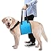 Pawaboo Dog Support & Rehabilitation Harness, Dog Lift Canines Aid Assist Sling for Disabled, Injured, Elderly Pets Dogs, Help with Mobility to Stand Up, Climb Stairs and More, Large Size, Blue
