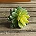 Neomark Set of 3 Vinyl Artificial Succulent Cactus Plants for Office Home Decor Craft Making