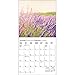 Provence 2017 Small Wall Calendar