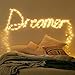 Amysen LED String Lights, 33ft 100 LEDs Remote Control Dimmable Complete Waterproof (Warm White 66FT)