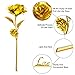 ProCIV Gold Roses, 24K Gold Foil Decoration Artificial Rose Flowers in Gift Box, Best Gift Mother's Day, Valentine's Day, Wedding Day, Birthday, Christmas, Thanksgiving, Home Decor