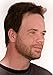 The Younger Looking Beard (Light Brown) Beard and Mustache Darkener. Non Allergenic. 1 Minute Brush On