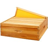 BEEINN 10 Frame Bee Hive Box, Langstroth Medium Super Bee Box Dipped in 100% Beeswax Include Beehive Frames and Waxed Foundation Sheets (Unassembled)