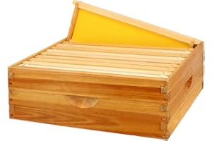 BEEINN 10 Frame Bee Hive Box, Langstroth Medium Super Bee Box Dipped in 100% Beeswax Include Beehive Frames and Waxed Foundation Sheets (Unassembled)