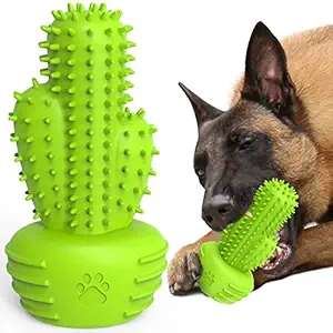 Dog Toys, Dog Chew Toys for Aggressive Chewers Dog Memorial Birthday Gifts Dog Toothbrush Stick Teeth Cleaning Brush Dental for Medium Large Dog, Rubber Dog Squeaky Toys Cactus Tough Toys