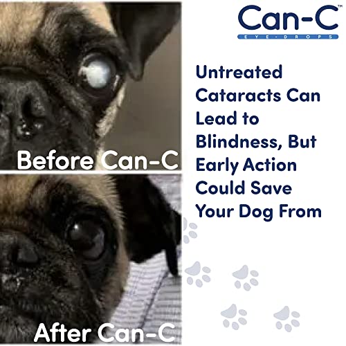 Can-C Dog Eye Drops-Dog Cataract Eye Drops with N-Acetylcarnosine-Normalize  Cataract Impairment in Older Dogs